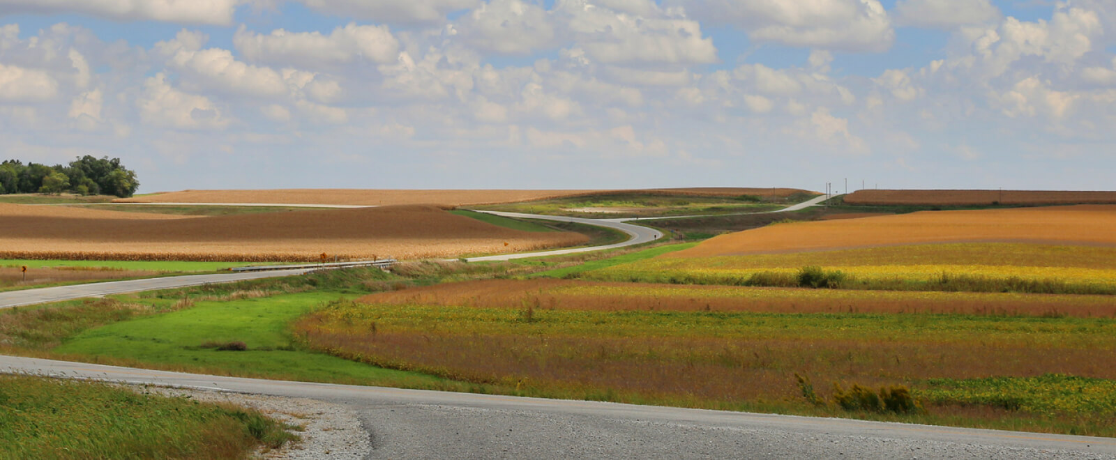 scenic view of fields and road
